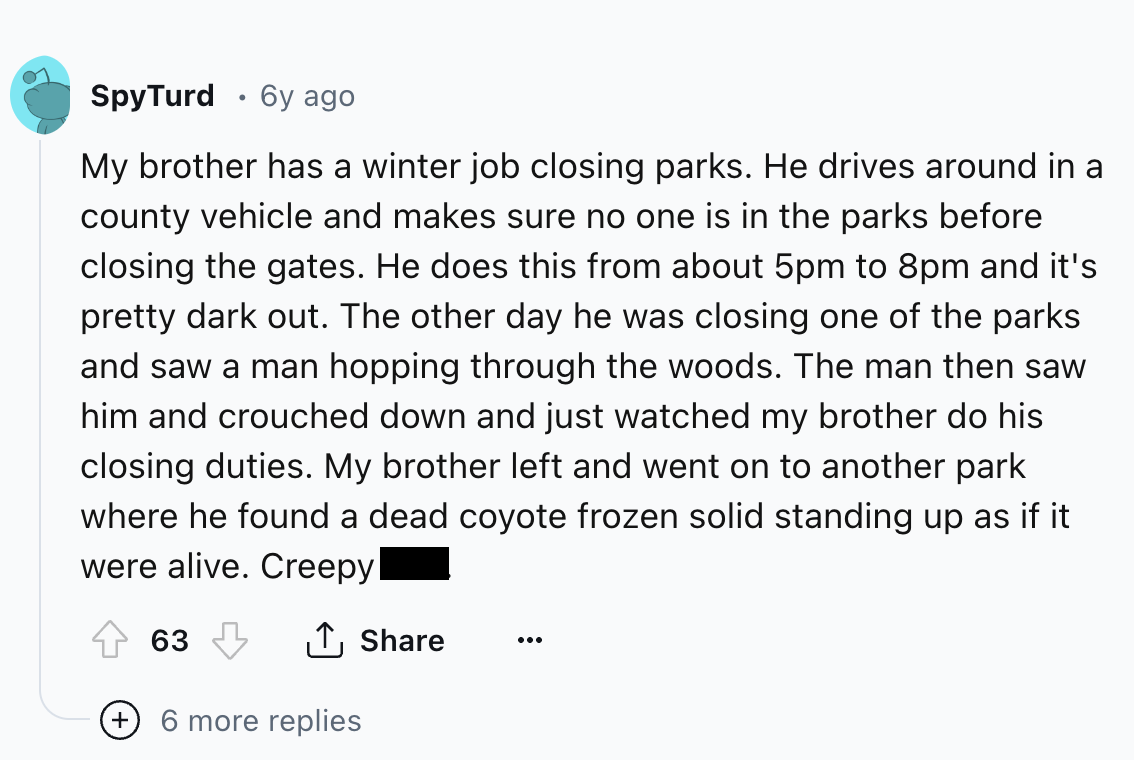 screenshot - SpyTurd 6y ago My brother has a winter job closing parks. He drives around in a county vehicle and makes sure no one is in the parks before closing the gates. He does this from about 5pm to 8pm and it's pretty dark out. The other day he was c